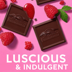 Dark Chocolate Raspberry SQUARES Medium Bag (Case of 6)