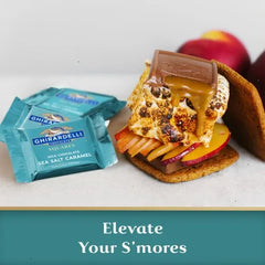 Milk Chocolate Sea Salt Caramel SQUARES Case Pack (430 ct)