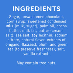 Dark Chocolate Sea Salt Caramel SQUARES Medium Bag (Case of 6)