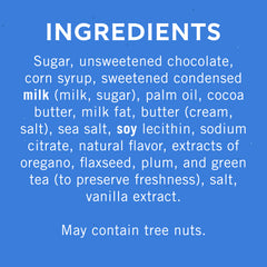 Dark Chocolate Sea Salt Caramel SQUARES Case Pack (430 ct)